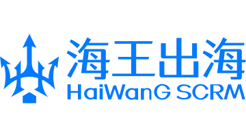海王出海翻译