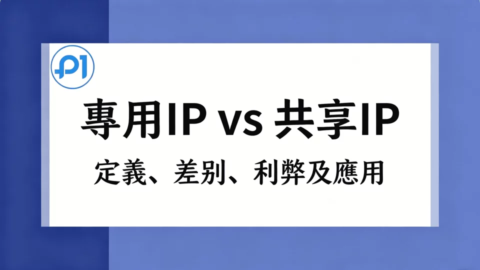 专用 IP vs 共享 IP:哪个更适合您的业务?