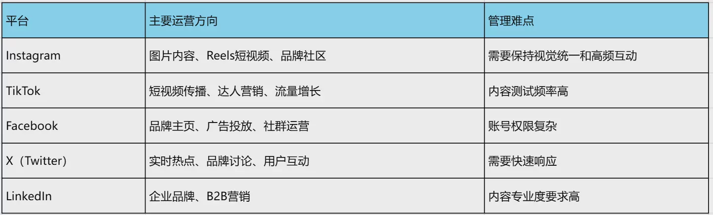 如何管理多个客户的社交媒体账号?_2026_社媒代理机构完整管理指南 图2 如何管理多个客户的社交媒体账号?_2026_社媒代理机构完整管理指南 图2