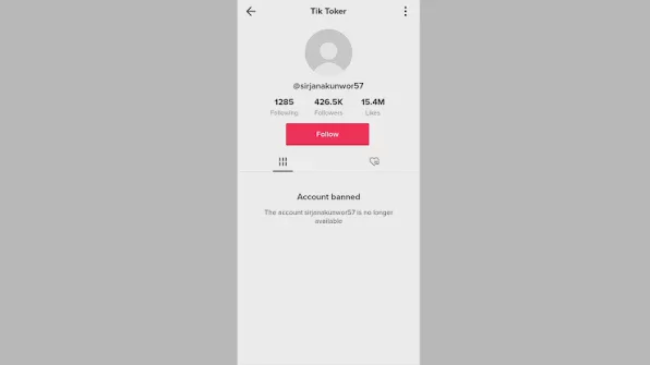 2026_TikTok_Is Account Sharing Safe? A Complete Guide to Team Collaboration and Management Image 2 2026_TikTok_Is Account Sharing Safe? A Complete Guide to Team Collaboration and Management Image 2