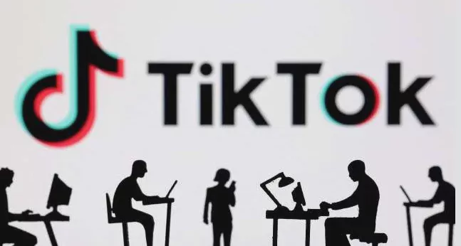 2026_Year_TikTok_Is Sharing TikTok Accounts Safe? A Complete Guide to Team Collaboration Management Image 1 2026_Year_TikTok_Is Sharing TikTok Accounts Safe? A Complete Guide to Team Collaboration Management Image 1